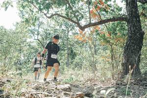 BIB: 
                            <button type="button" onclick="openModal(26109453)" class="btn btn-primary btn-sm float-right btn-popup" data-toggle="modal" data-target=".modal-high-quality">
                        <i class="fas fa-shopping-cart"></i> Add to Cart
                    </button>
                                            <button type="button" onclick="isThisMe(26109453, true)" class="btn btn-success btn-sm float-right btn-popup btn-isme hidden" data-toggle="tooltip" data-placement="bottom" title="นี่คือรูปของคุณใช่ไหม คลิกที่นี่เพื่อเอาเข้าอัลบั้ม">
                        <i class="fas fa-plus"></i> Add to album
                    </button>
                    <button type="button" onclick="isThisMe(26109453, false)" class="btn btn-warning btn-sm float-right btn-popup btn-isnotme hidden">
                        <i class="fas fa-ban"></i> Remove from album
                    </button>